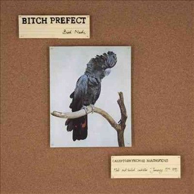 Bitch Prefect - Bird Nerds (Vinyl)