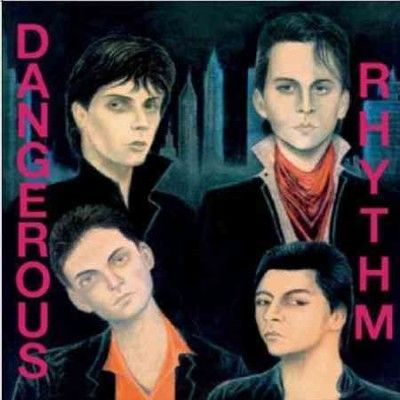 Dangerous Rhythm (Vinyl / 12" Album)
