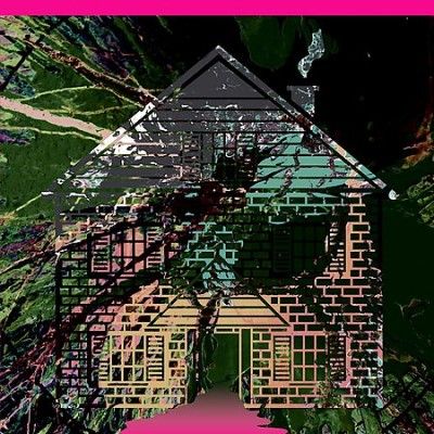 Genghis Tron - Board Up The House Remixes 5 (Vinyl)