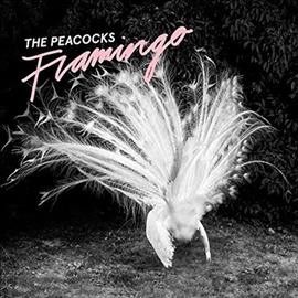 Peacocks - Flamingo (Vinyl)