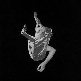 Autumns - Suffocating Brothers (Vinyl)