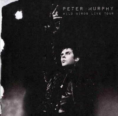 Peter Murphy - Wild Birds Live Tour (CD)