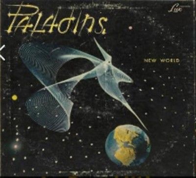 Paladins - New World (Vinyl)