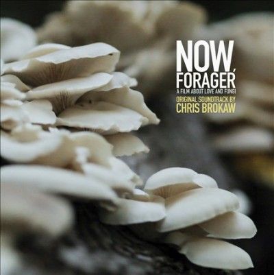 Chris Brokaw - Now Forager (Vinyl)