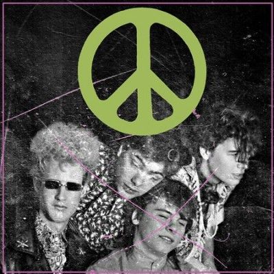 Flaming Lips - Scratching The Door: First Recordings (CD)