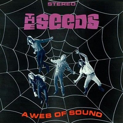 Seeds - Web Of Sound (Vinyl)