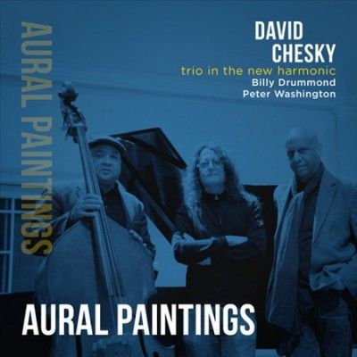David Chesky - Trio In The New Harmonic: Aural Painti (CD)