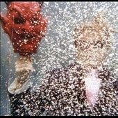 Ty Segall - Ty Segall (Vinyl)