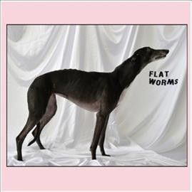 Flat Worms - Flat Worms (Vinyl)