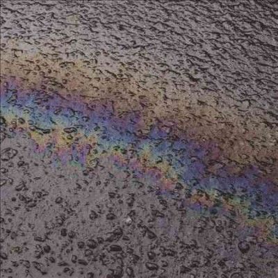 Laurel Halo - In Situ (CD)