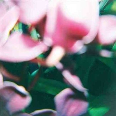 Trade Wind - You Make Everything Disappear (CD)