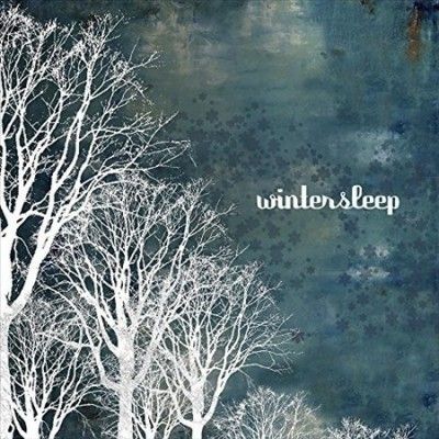 Wintersleep - Wintersleep (Vinyl)
