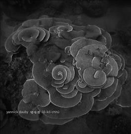 Yannick Dauby - Penghu Experimental Sound Studio V2 (Vinyl)