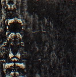 O Morto - Forest The People And The Spirits (Vinyl)