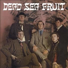 Dead Sea Fruit (CD / Album)