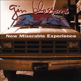 Gin Blossoms - New Miserable Experience (Vinyl)