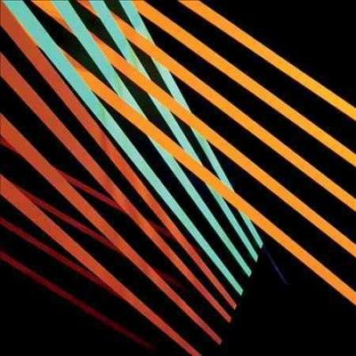Shit Robot - What Follows (Vinyl)