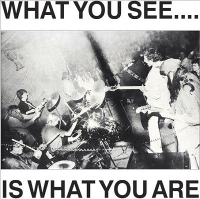 What You See Is What You Are (CD / Album)