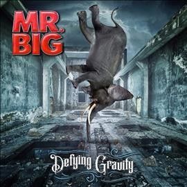 Defying Gravity (Vinyl / 12" Album)