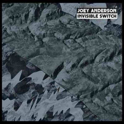 Joey Anderson - Invisible Switch (Vinyl)