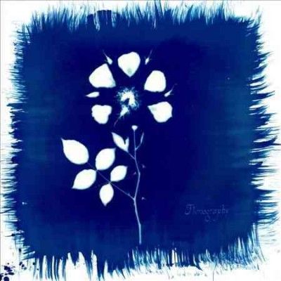 Painted Zeros - Floriography (Vinyl)