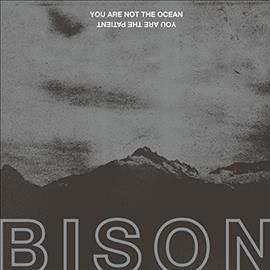 You Are Not the Ocean You Are the Patient (Vinyl / 12" Album)