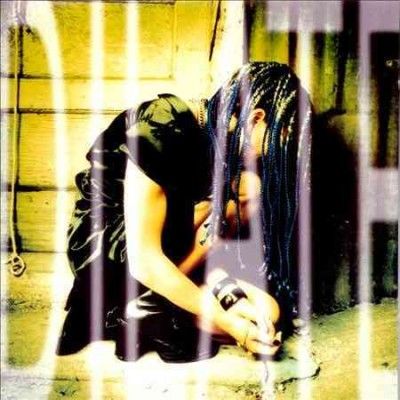 Ani Difranco - Dilate (Vinyl)