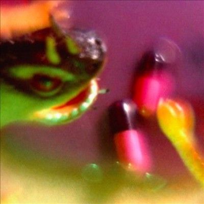 Bush Tetras - Take The Fall (Vinyl)