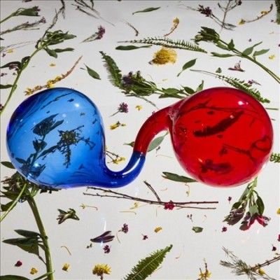 Dirty Projectors - Lamp Lit Prose (Vinyl)