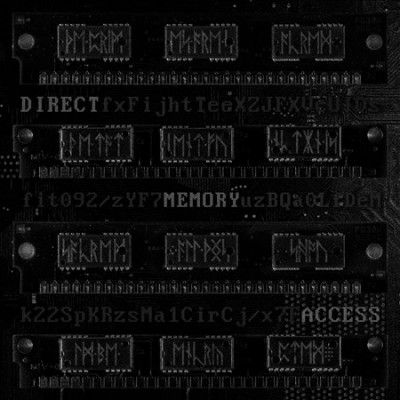 Direct Memory Access (Vinyl / 12" Album)