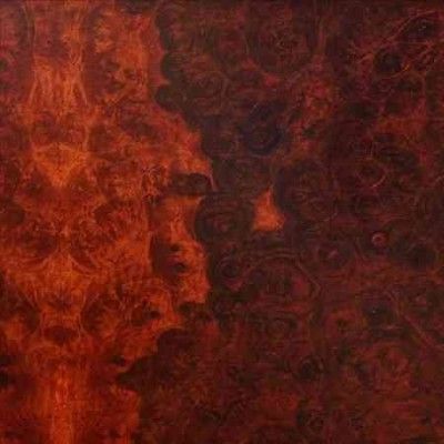 True Widow - Avvolgere (CD)