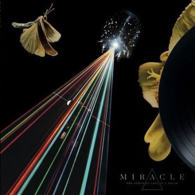Miracle - Strife Of Love In A Dream (CD)