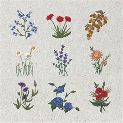 Neighbor Lady - Maybe Later (Vinyl)