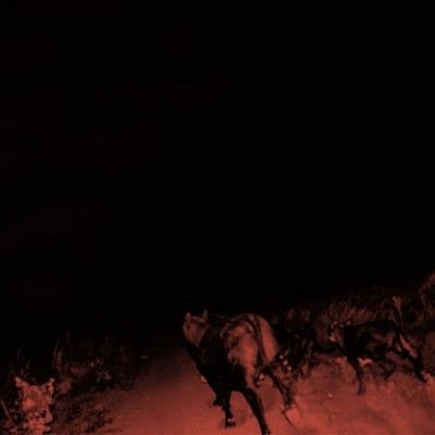 Bambara - Shadow On Everything (Vinyl)