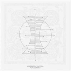 Lino Capra Vaccina - Echi Armonici Da Antico Adagio (Vinyl)