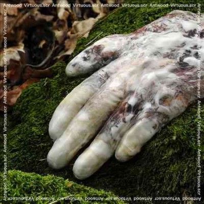 Antwood - Virtuous.Scr (CD)