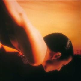 Porcupine Tree - On The Sunday Of Life (Vinyl)
