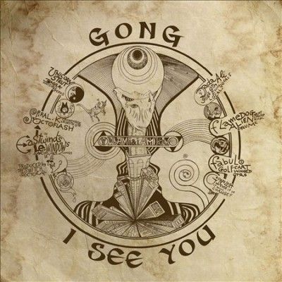 I See You (Vinyl / 12" Album)