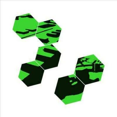 Head Technician - Zones (Vinyl)