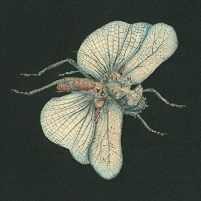 Go Dig My Grave (Vinyl / 12" Album)