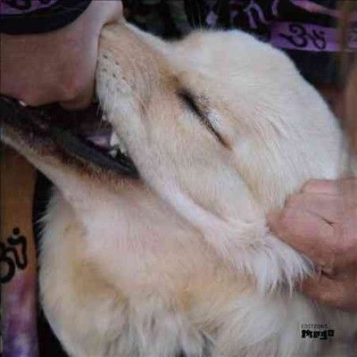 Jim O'rourke - It's Hard For Me To Say I'm Sorry (Vinyl)