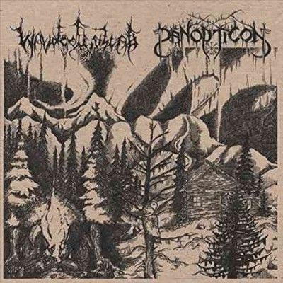 Waldgefluster - Waldgefluster/panopticon (Vinyl)