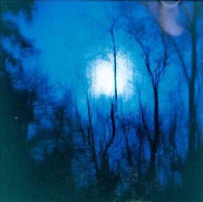 Flying Saucer Attack - Further (Vinyl)
