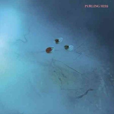 Purling Hiss - High Bias (Vinyl)