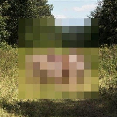 Hotelier - Goodness (Vinyl)