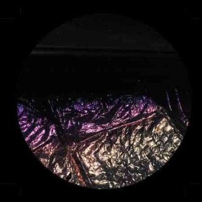 Cop Envy - Total End (Vinyl)