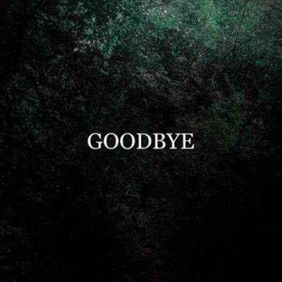 Colder - Goodbye (Vinyl)