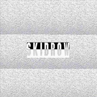 James Ferraro - Skid Row (Vinyl)