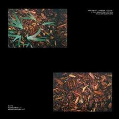 Shlohmo - Bad Vibes (rarities And Extras) (Vinyl)