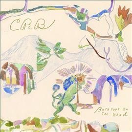 Chris Brot Robinson - Barefoot In The Head (CD)